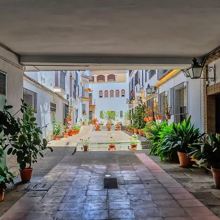 La Flor Del Cerezo & Center Apartment Cordoba