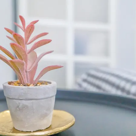 El Respiro Cordobes & Centro & Parking Incluido * 科爾多瓦