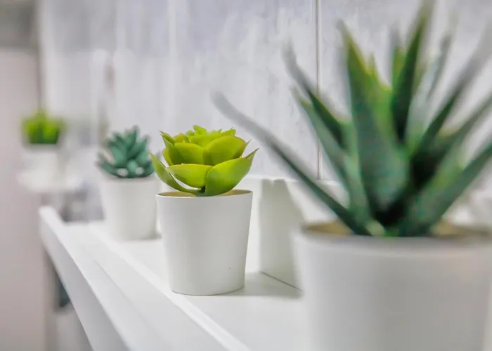 El Respiro Cordobes & Centro & Parking Incluido Апартаменти Кордова