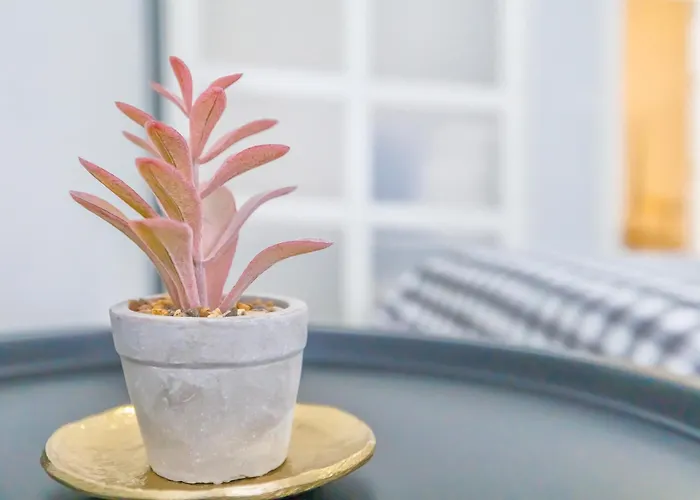 El Respiro Cordobes & Centro & Parking Incluido * Кордова